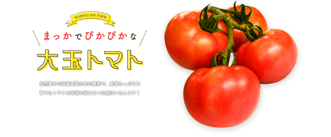 真っ赤でピカピカな大玉トマト